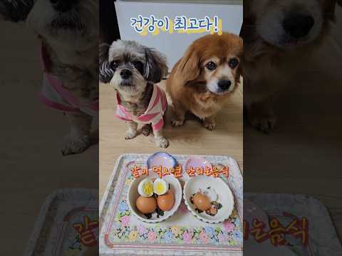건강이 최고다! 달걀먹자 기쁨&강 #계란