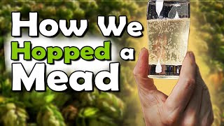 Let's Add HOPS to MEAD:  Easy Hopped Session Mead