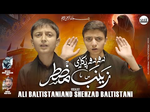 Ro Ro Kar Pukari Zainab (S.A) | Ali Baltistani & Shehzad Baltistani | Noha 2025 | MAK Production