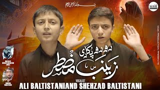 Ro Ro Kar Pukari Zainab (S.A) | Ali Baltistani & Shehzad Baltistani | Noha 2025 | MAK Production
