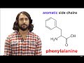 Amino Acids and Their Properties