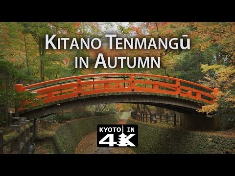 Beautiful Kyoto: Autumn at Kitano Tenmang? [4K]