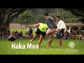 Themes and Significance in Hawaiian Chants
