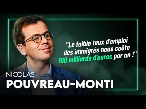 Les vraies CONSÉQUENCES de l'IMMIGRATION sur l'économie française !
