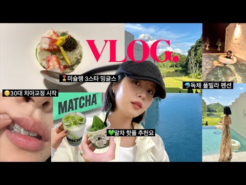 🥕일상 VLOG ❶미슐랭 3스타 밍글스 디너 ❷30대 치아교정 시작 ❸독채풀빌라 펜션추천 ❹말차라떼 맛집 핫플💚 :: 채소(CHAESO)