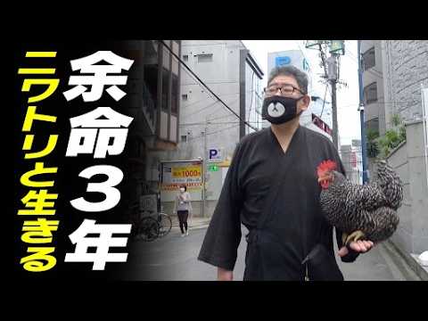 がんで余命3年。乗り越えられた理由…パートナーはニワトリの「きなこ」【CBC開局75周年 みちをひらく会社です。】