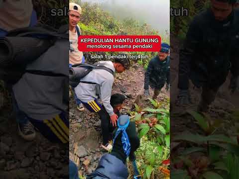 H4ntu gunung team #outdoors #camping #mendakionline #hikinggunung #pendakihits #tipsmendaki #horror