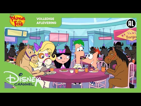 Phineas & Ferb | Flopsterren | Volledige Aflevering | Disney Channel België-Nederland