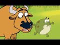 Lessons from the Arrogant Frog and Small Bull