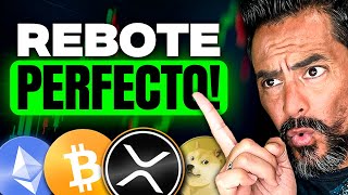 😲 ALTCOINS ADELANTAN a BITCOIN!! XRP ESTAFAS con días contados 🚨 TRUMP COMPRA DOGE?!