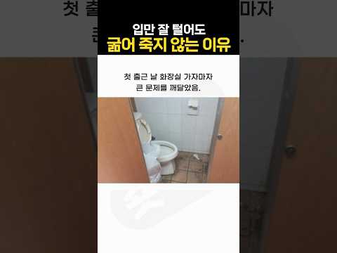 말빨만 좋아도 굶어 죽지 않는 이유 ㅋㅋㅋ