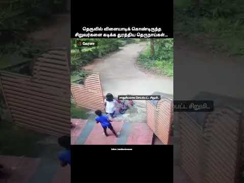 சாதுர்யம்!👌| kerala childrens stray dogs attack