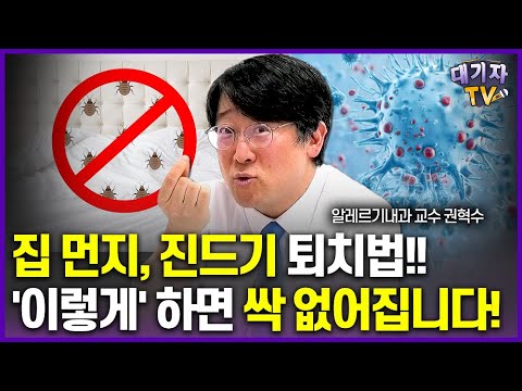 알레르기 유발하는 집먼지, 진드기 퇴치법을 전문가가 직접 알려드림!(권혁수 알레르기내과 교수)
