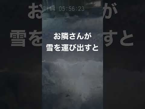 強奪が止まらない #shorts #雪かき #除雪 #ホイールローダー