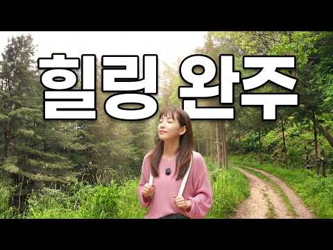영화 촬영지에서 즐기는 숲속 휴식, 20만 평 편백숲 산책길 (완주 여행 필수 코스) #완주여행 #편백나무숲 #상관편백숲 #국내여행지추천 #<strong>힐링여행</strong>