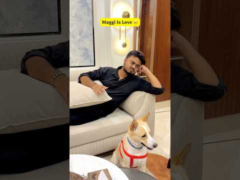 Maggi Kis Kis Ko Pasand Hai ~ Sujal Thakral #shorts #ytshorts #youtubeshorts #funny #maggi #maggie