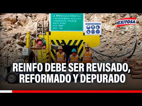 🔴🔵 Reinfo necesita ser depurado: “Acaba en diciembre y no sabemos qué dirá el Gobierno”