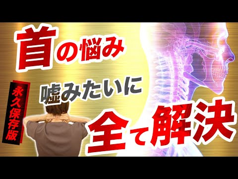 一生使える『首の筋肉完全調整法』20年続いた首の痛み・コリ・悪姿勢・不調が一瞬で消えるからやってみて