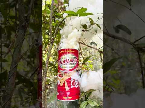 GET RID of Mosquitoes FAST with These Amazing Tricks!
