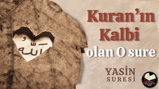 Kuran'ın Kalbi Olan O Sure! (Yasin Suresi)