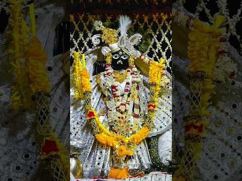 बोलो वृंदावन श्री बांकेबिहारी लाल की जय #virdavan #bankebihari #treanding #shortviral #ytshaorts