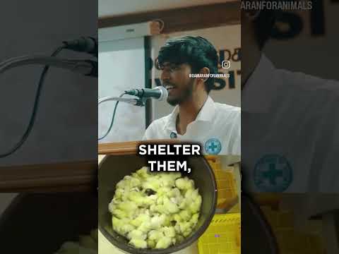 ஆண் பெண் லைப் மோட்டிவேஷன்#video #motivation #automobile #subscribe #lifestyle