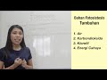 Photosynthesis and Chemical Formulas