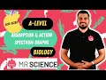 Photosynthesis and Light Absorption