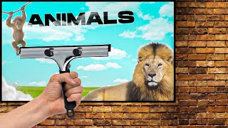 THE MOST REQUESTED NAMES - ZOO EDITION