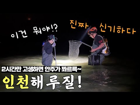 차 타고 1시간 인천에서도 이런 게 잡혀!? 물색이 왜 이래!?초특급 안주가 널렸다!