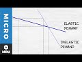Demand Elasticity Concepts and Applications