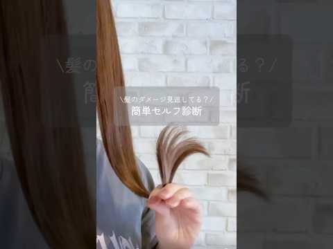 髪のダメージ見逃してる？