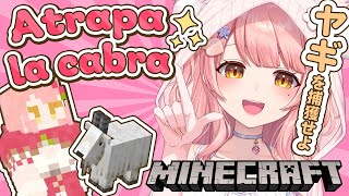 #Minecraft┊日本語禁止ミッション：​​お家帰宅▶ヤギを捕まえろ！パート2 ＃MerunLIVE