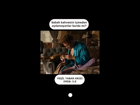 YEŞİL YABAN ARISI - GREEN HORNET - IMDB: 5.8