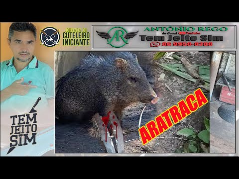 ARATRACA A ARMADILHA DE TRILHA
