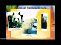 Taxonomy and Classification Concepts