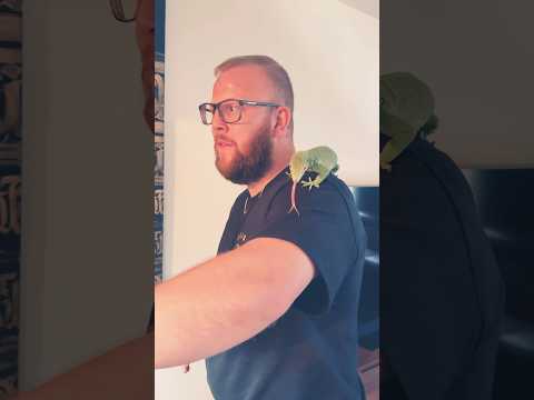 Chase your passion! #passion #dreambig #reptiles #pets #fypシ #monitorlizard #varanus #uk #steveirwin