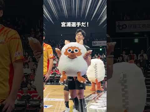 なんとあの宮浦選手が…！？ #ウルフィ #メーテレ #ウルフドッグス名古屋 #宮浦健人#ジェイテクトstings愛知  #バレーボール #男子バレー #shorts
