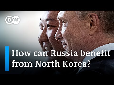 US media: North Korea's Kim to meet Putin in Russia | DW News