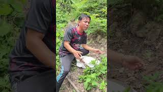 សត្វពង្រូលប្រលែងនៅភ្នំជ្រោយស្នា ហើយ