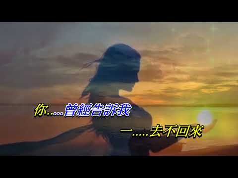 情人的關懷〈華語〉〈男調演唱版〉