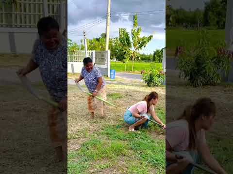 Mau ketawa takut dosa video lucu bikin ngakak hiburan warga 62 #lucu #funny #ngakak #videolucu #meme