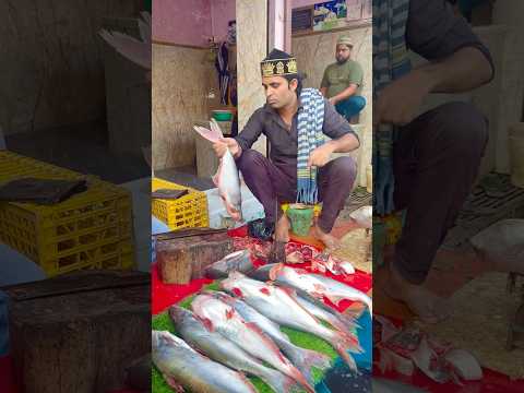 अल्लाह हमें हमेशा हलाल रोजी कमाने की तौफीक दे 🤲❤️🤲 #islmaic #emotional #fish #shortsfeed #viral