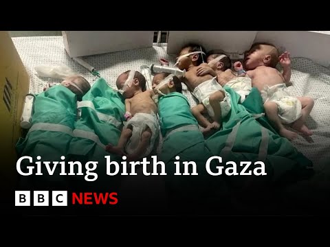 Gaza hospitals caught up in intense fighting - BBC News