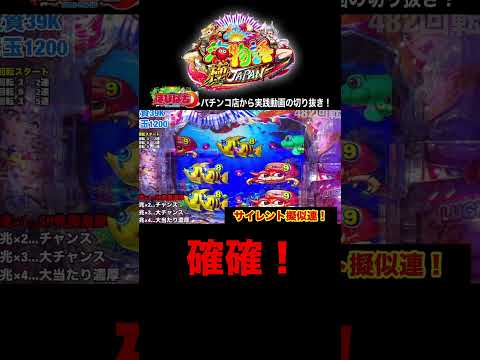 新台P海物語極JAPAN!パチンコ屋さんから実践動画の見どころ!#shorts