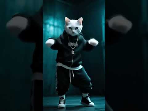 Kucing Preman Joget Cinta Merah Jambu #kucing #kucingjoget #cintamerahjambu #cat #fyp #fypシ #fy