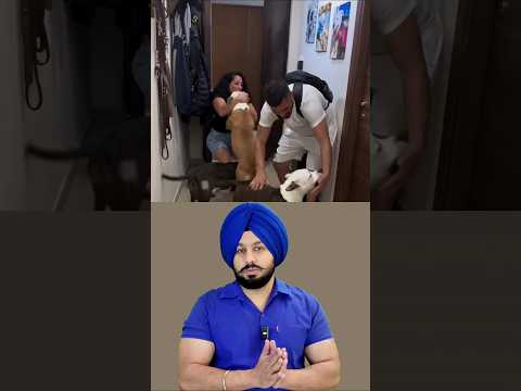 Unconditional Love of Dogs Caught on Camera