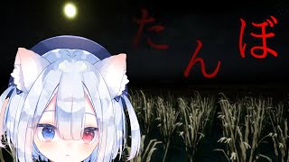 【たんぼ】初見🍭😺まったり