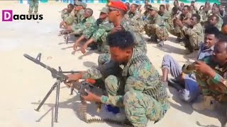 TOOS: Puntland oo ciidamo cusub ka qoratay Sanaag fariin Adagna u dirtay Maamulka Cusub..