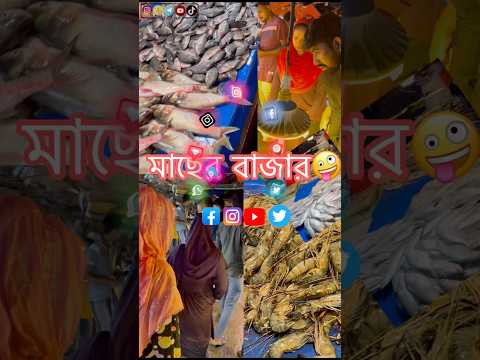 মাছের বাজার #funny #viralvideo #comedy #youtubeshorts #love #vlog